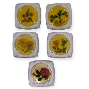 VTG Lucite Acrylic Coasters Set of 5 Dried Pressed Flowers Resin Footed MCM
